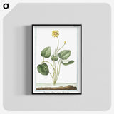 1-43_Hortus-Romanus-Botanical-Plates_blk-crop