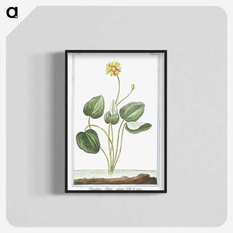 1-43_Hortus-Romanus-Botanical-Plates_blk-crop