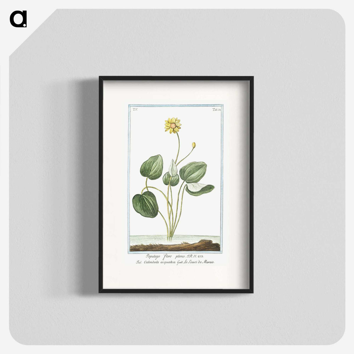 1-43_Hortus-Romanus-Botanical-Plates_blk