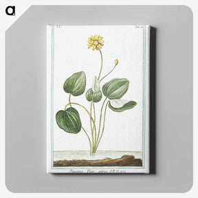 1-43_Hortus-Romanus-Botanical-Plates_canvas