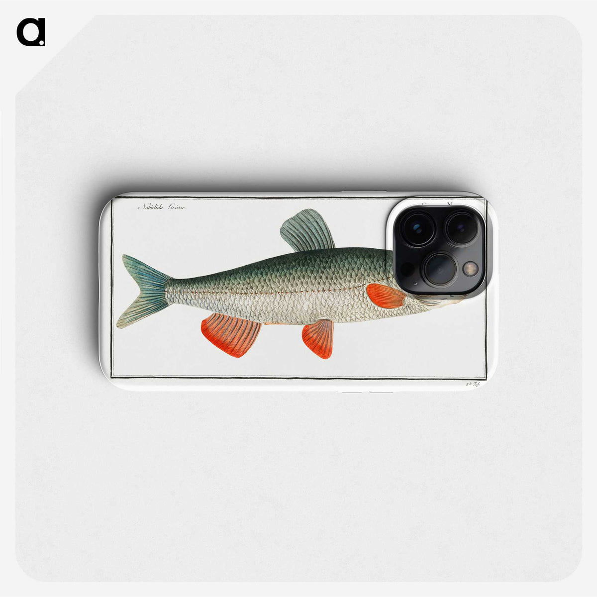 1-43_Ichtyologie-ou-Histoire-naturelle_phone