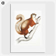 1-43_Indian-Zoology_picture