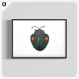 1-43_Insects-Unlocked-Project_blk-crop