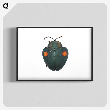 1-43_Insects-Unlocked-Project_blk-crop