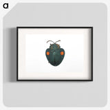 1-43_Insects-Unlocked-Project_blk
