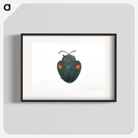 1-43_Insects-Unlocked-Project_blk