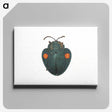1-43_Insects-Unlocked-Project_canvas