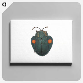 1-43_Insects-Unlocked-Project_canvas