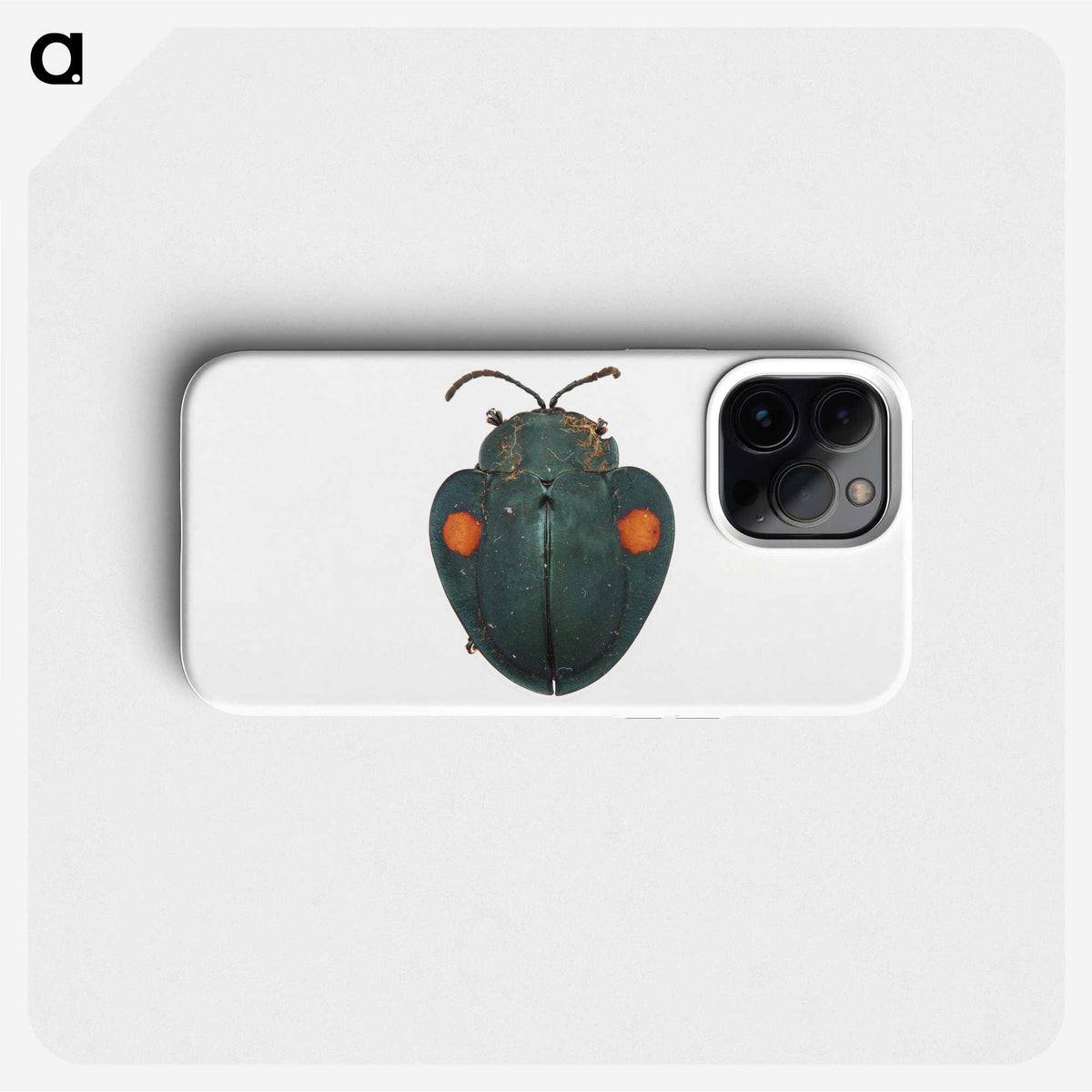 1-43_Insects-Unlocked-Project_phone
