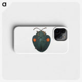 1-43_Insects-Unlocked-Project_phone