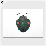 1-43_Insects-Unlocked-Project_picture-crop