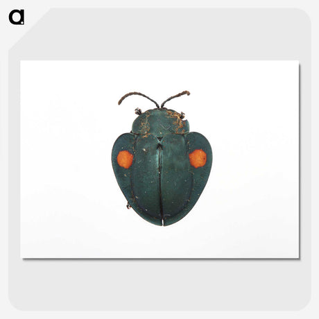 1-43_Insects-Unlocked-Project_picture-crop