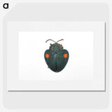 1-43_Insects-Unlocked-Project_picture