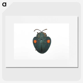 1-43_Insects-Unlocked-Project_picture