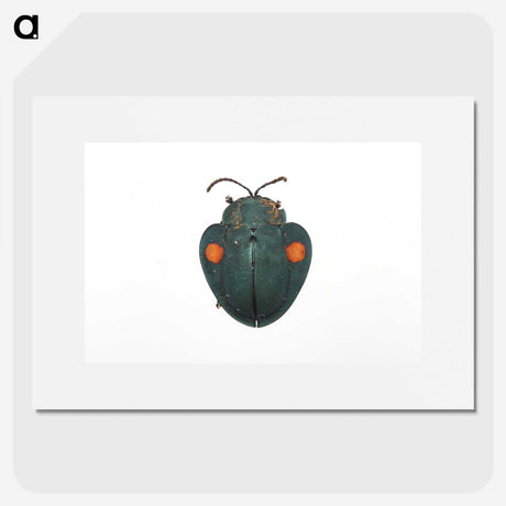 1-43_Insects-Unlocked-Project_picture