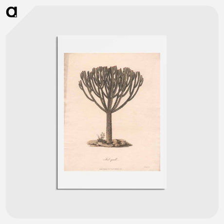 アートポストカード-Kolquall
 - ジェームス ヒース Postcard.