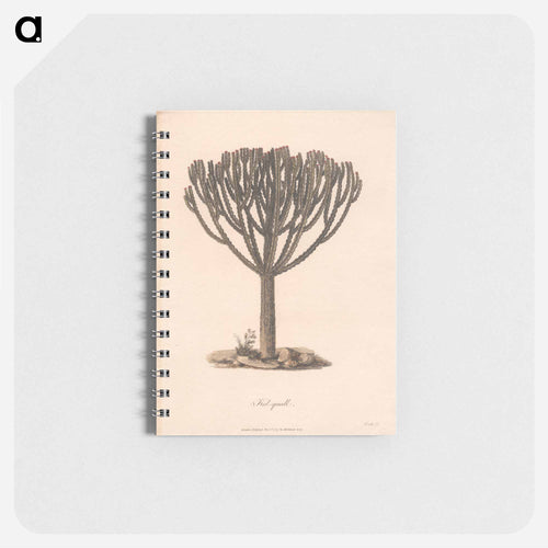 Kolquall
 - ジェームス ヒース Memo.