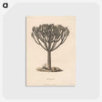 1-43_James-Heath_postcard