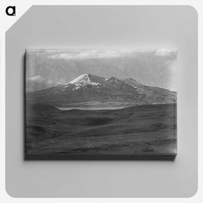 1-43_James-Walter-Chapman-Taylor_canvas