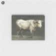 1-43_Jean-Bernard_memo