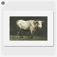 1-43_Jean-Bernard_picture