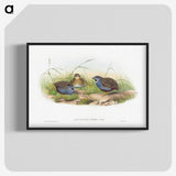 1-43_John-Gould_blk-crop