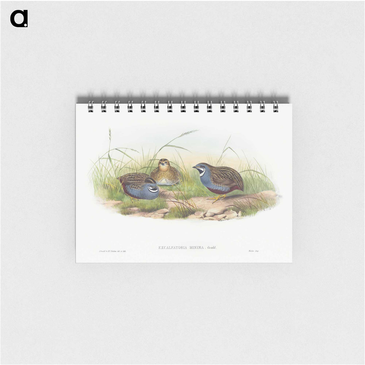1-43_John-Gould_memo