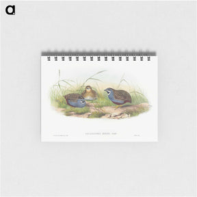 1-43_John-Gould_memo