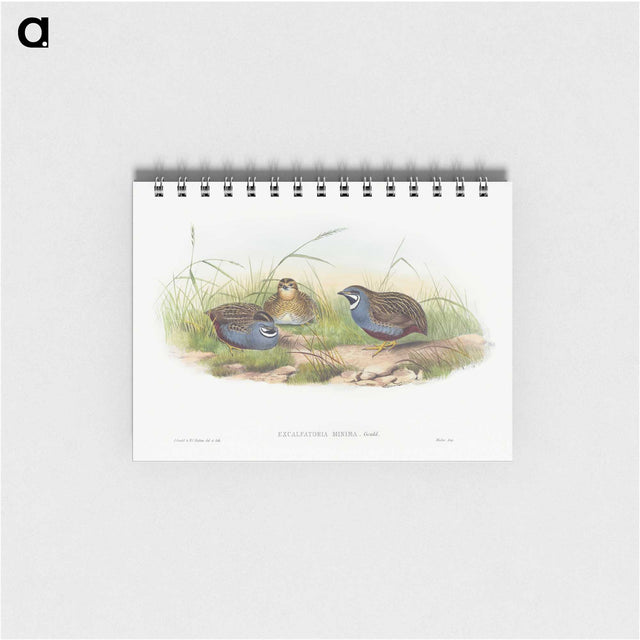 1-43_John-Gould_memo