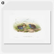 1-43_John-Gould_picture