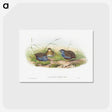1-43_John-Gould_postcard