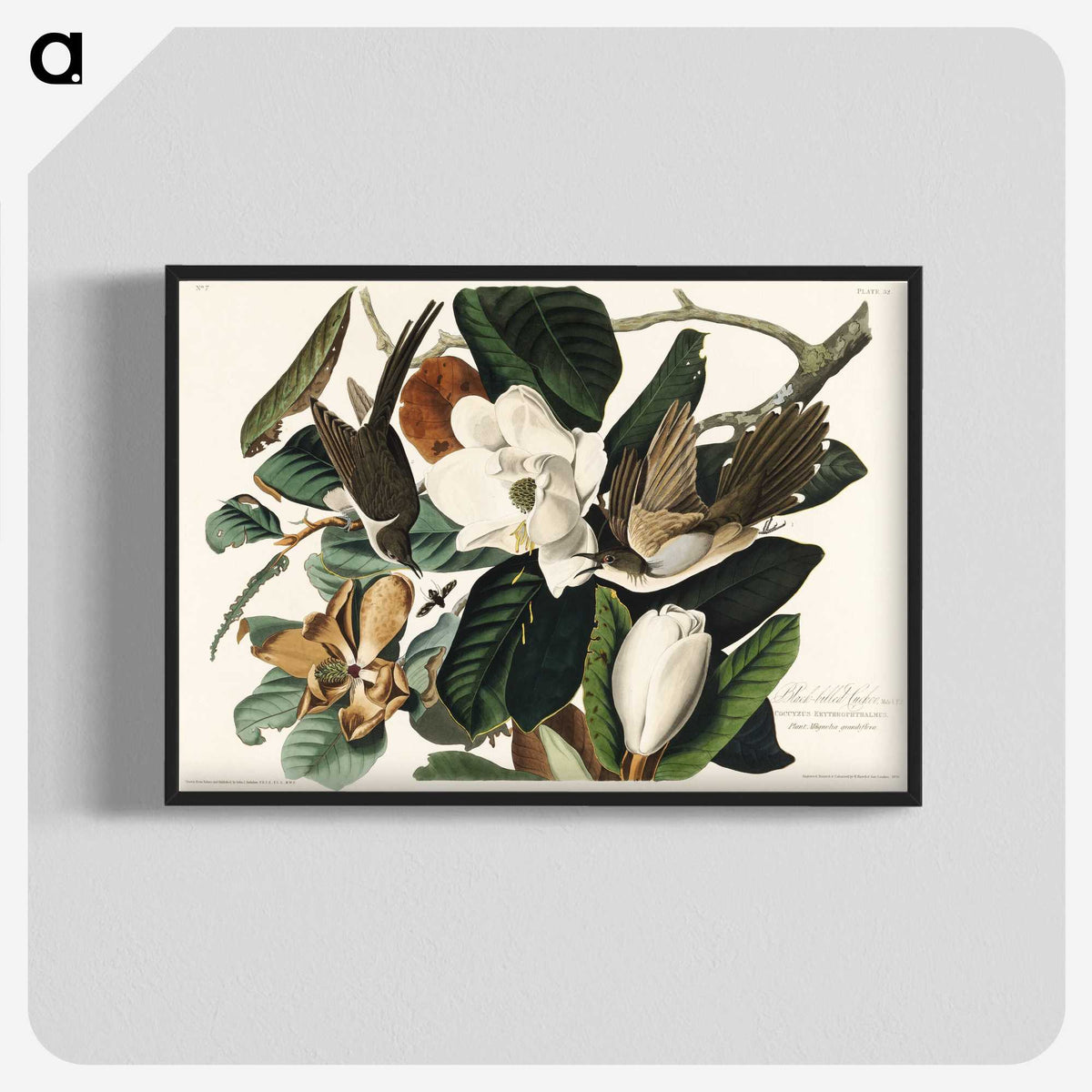 1-43_John-James-Audubon_blk-crop