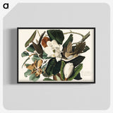 1-43_John-James-Audubon_blk-crop