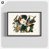1-43_John-James-Audubon_blk
