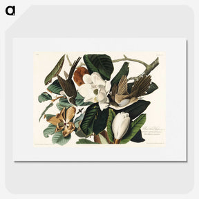 1-43_John-James-Audubon_picture