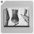 1-43_Karl-Blossfeldt_canvas