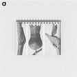 1-43_Karl-Blossfeldt_memo