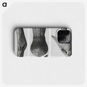 1-43_Karl-Blossfeldt_phone