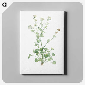 1-43_La-Botanique_canvas