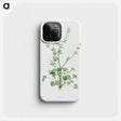 1-43_La-Botanique_phone