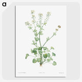 1-43_La-Botanique_picture-crop