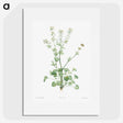 1-43_La-Botanique_picture