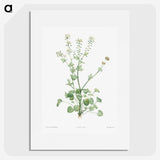 1-43_La-Botanique_picture
