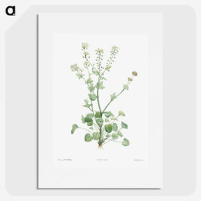 1-43_La-Botanique_picture