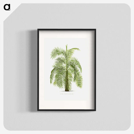 1-43_Les-Palmiers-Histoire-Iconographique_blk