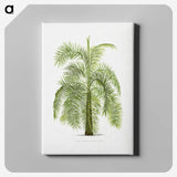 1-43_Les-Palmiers-Histoire-Iconographique_canvas