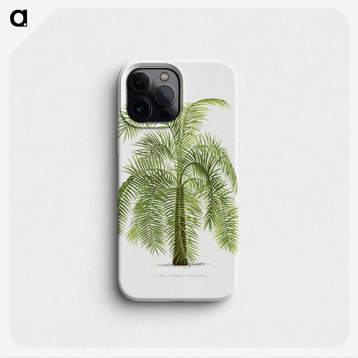 1-43_Les-Palmiers-Histoire-Iconographique_phone