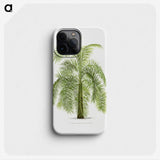 1-43_Les-Palmiers-Histoire-Iconographique_phone