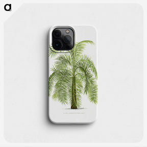1-43_Les-Palmiers-Histoire-Iconographique_phone