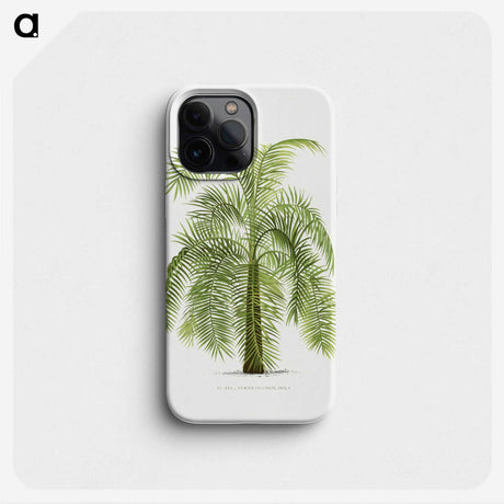 1-43_Les-Palmiers-Histoire-Iconographique_phone